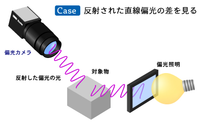 直接偏光の成分だけを見る