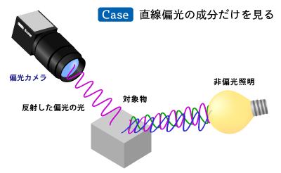 反射された直接偏光の差を見る