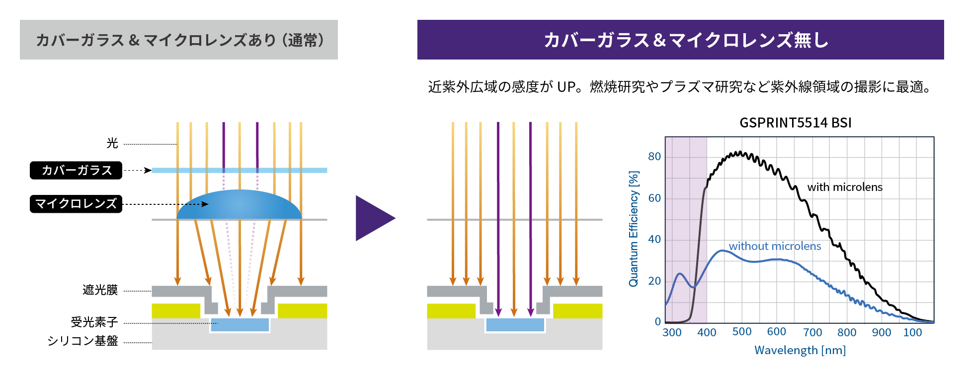 カバーガラス＆マイクロレンズ無しは金紫外線広域の感度がアップする。