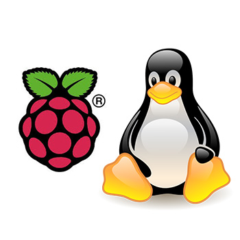 RaspberryPi Linux
