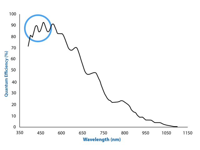 AR0521（モノクロ）の分光感度グラフ