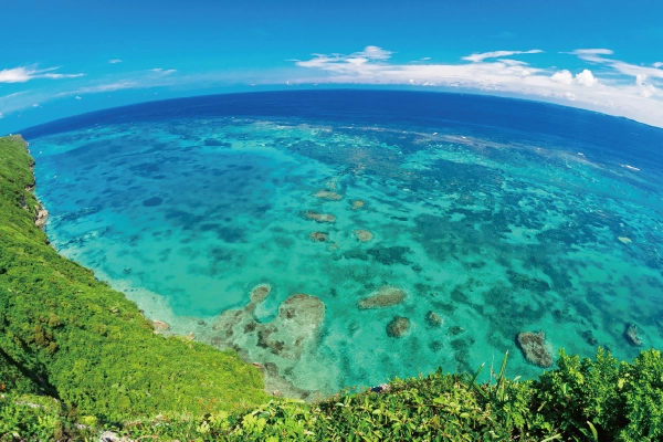 VR撮影にも適しています