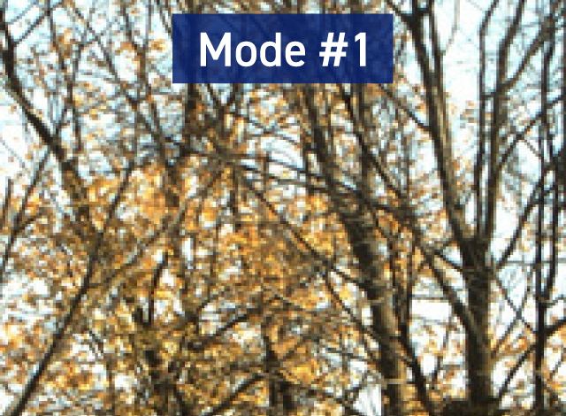 Mode #1