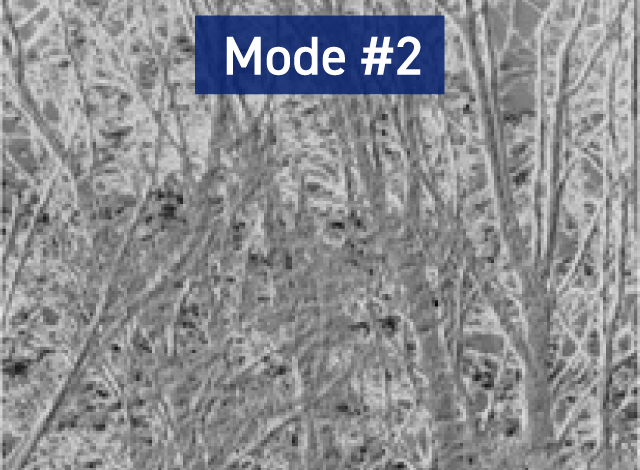 Mode #2